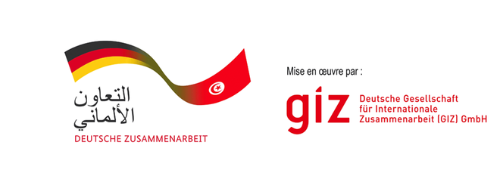 GIZ